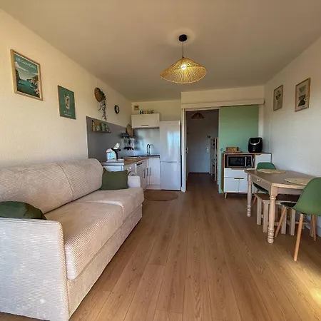 Vue Degagee Et Climatise Le Lavandou